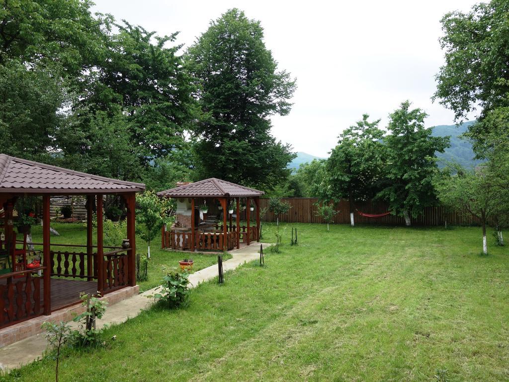Pensiunea Tania-Nora Alexandru cel Bun Exterior foto